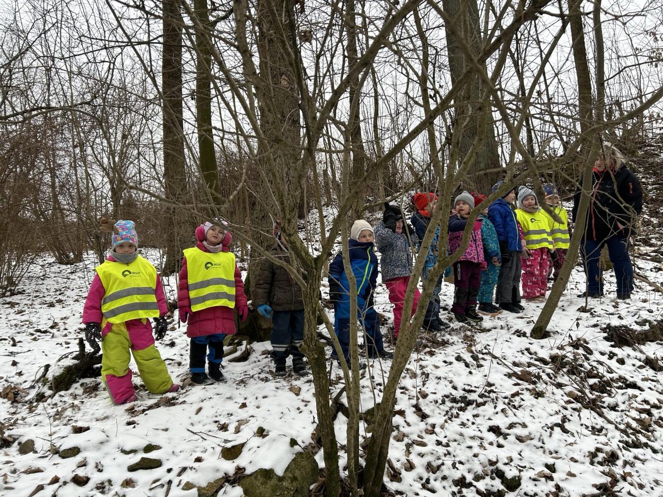 SOVIČKY: KOLOBĚH VODY V PŘÍRODĚ - 4