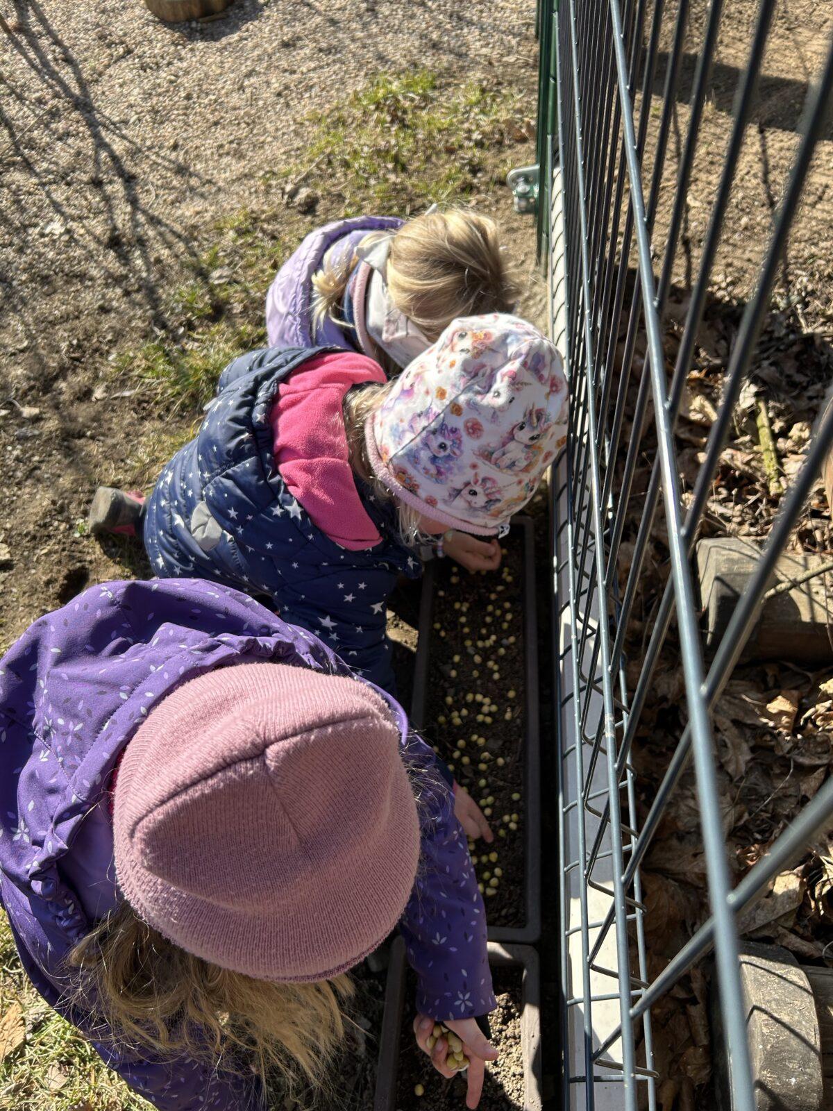 SOVIČKY: ,,O ZAKLETÝCH STROMECH, PŘIŠLO JARO DO VSI" - 6