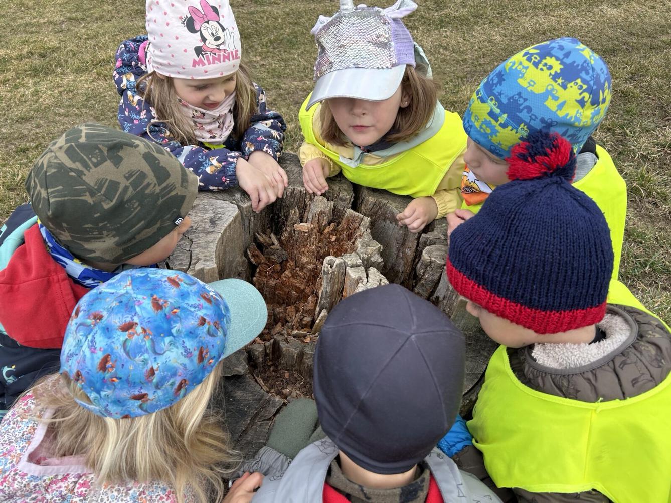 SOVIČKY: ,,O ZAKLETÝCH STROMECH, PŘIŠLO JARO DO VSI" - 20
