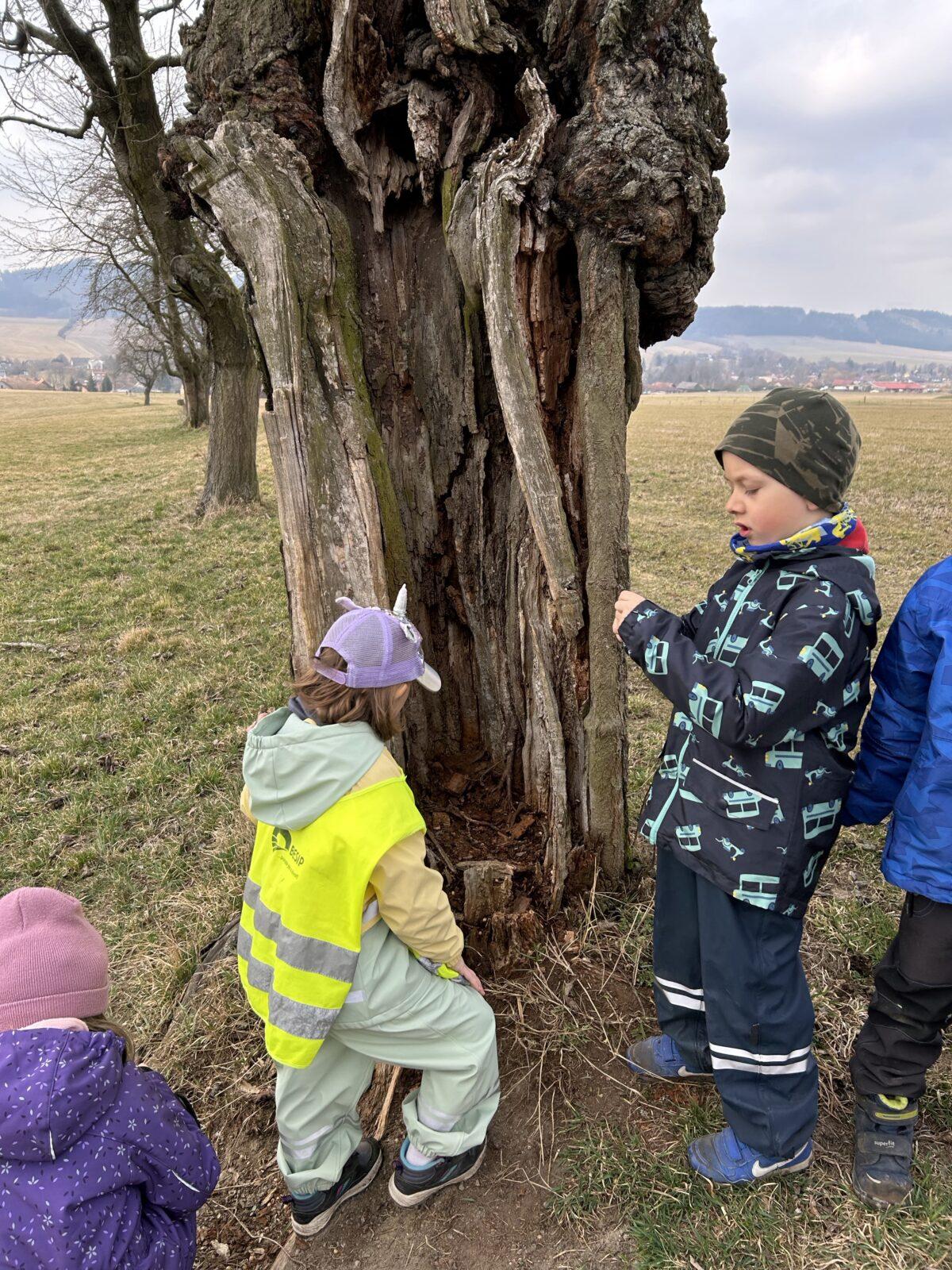 SOVIČKY: ,,O ZAKLETÝCH STROMECH, PŘIŠLO JARO DO VSI" - 24