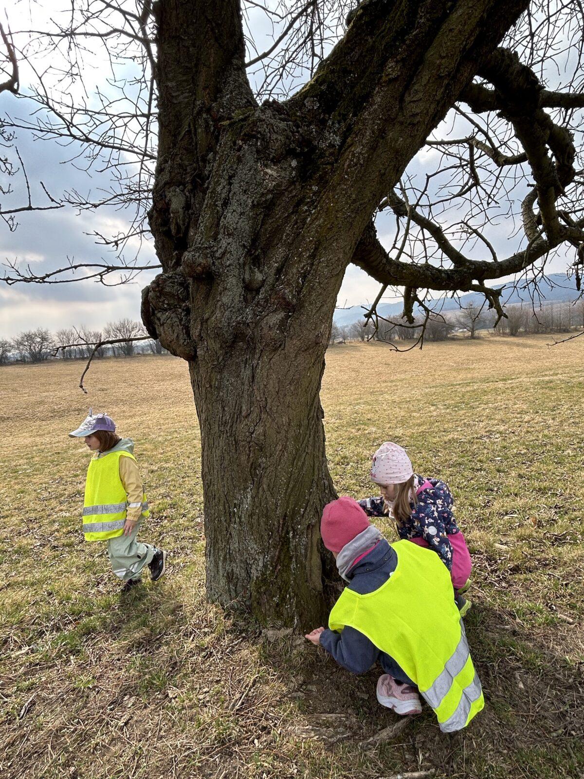 SOVIČKY: ,,O ZAKLETÝCH STROMECH, PŘIŠLO JARO DO VSI" - 26
