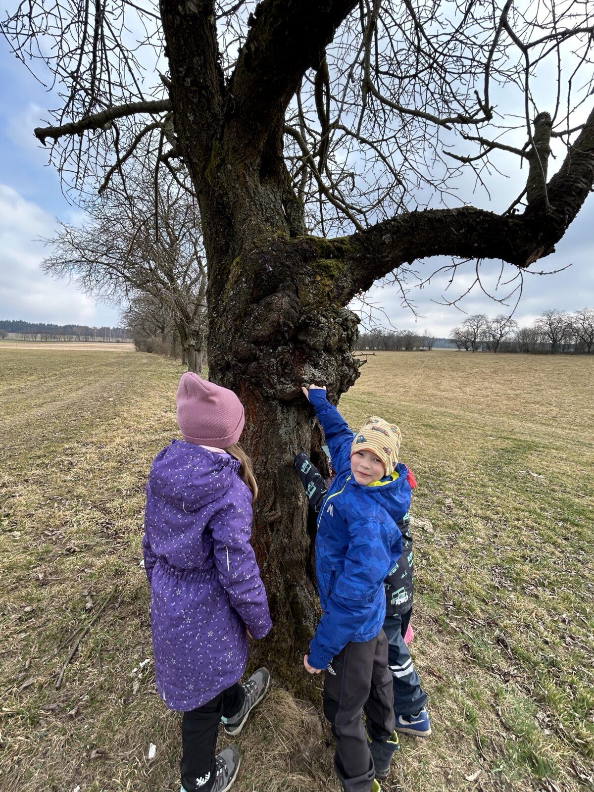 SOVIČKY: ,,O ZAKLETÝCH STROMECH, PŘIŠLO JARO DO VSI" - 28