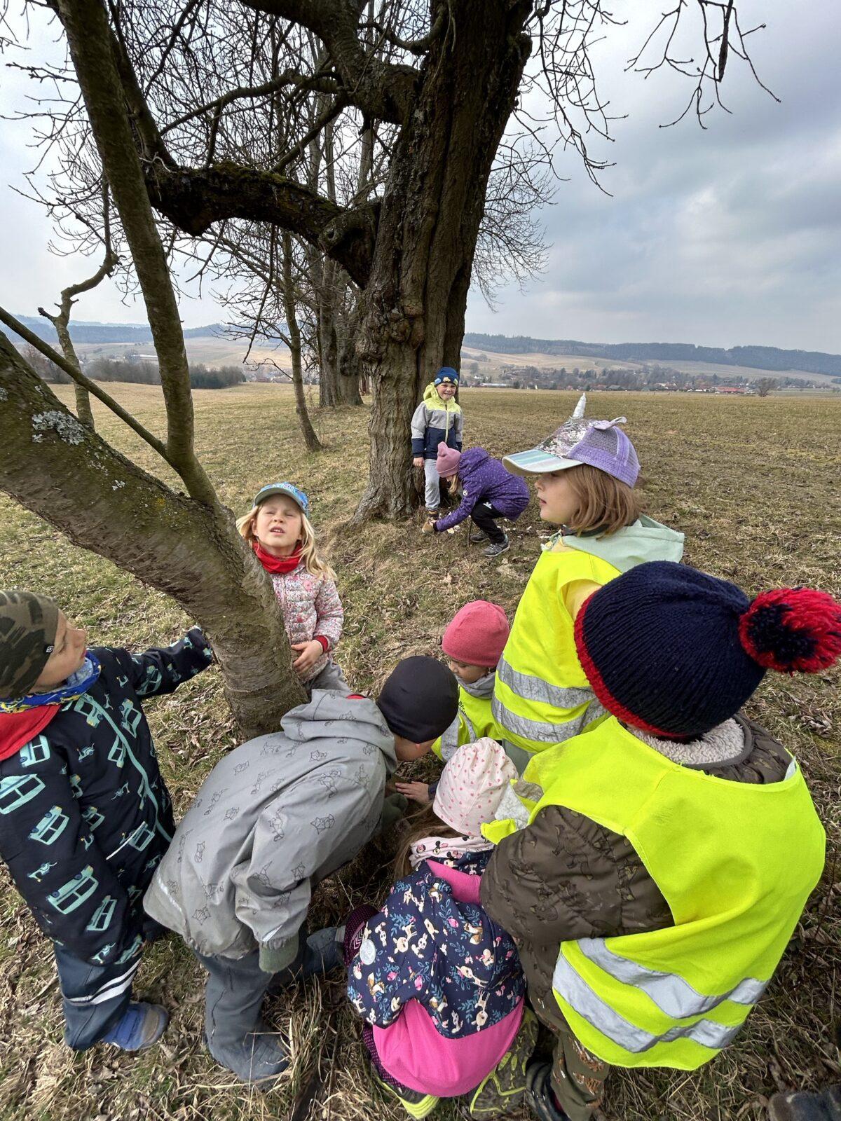 SOVIČKY: ,,O ZAKLETÝCH STROMECH, PŘIŠLO JARO DO VSI" - 29