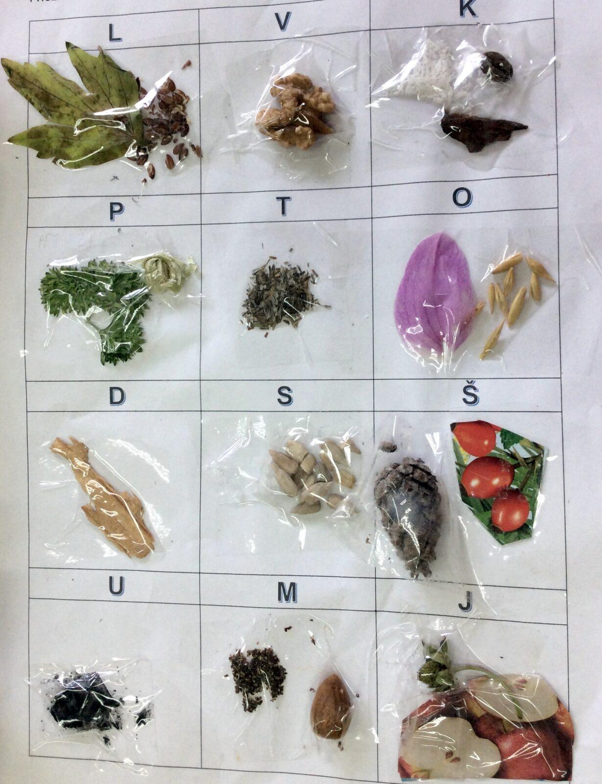 Příroda u třeťáčků 30. 5. - 19