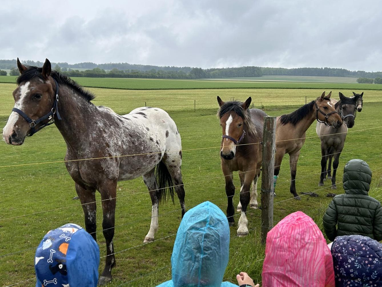 MOMENTKY ZE ŠKOLKY - 49