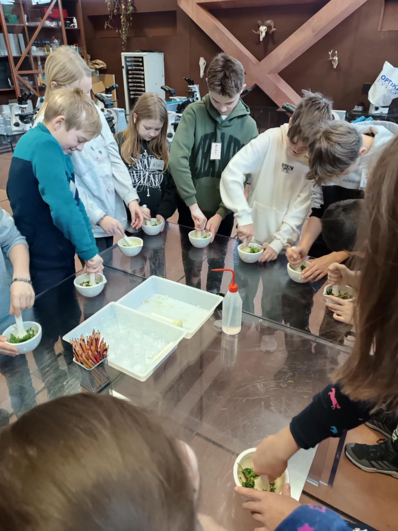 Vzdělávací centrum SFÉRA PARDUBICE - 11