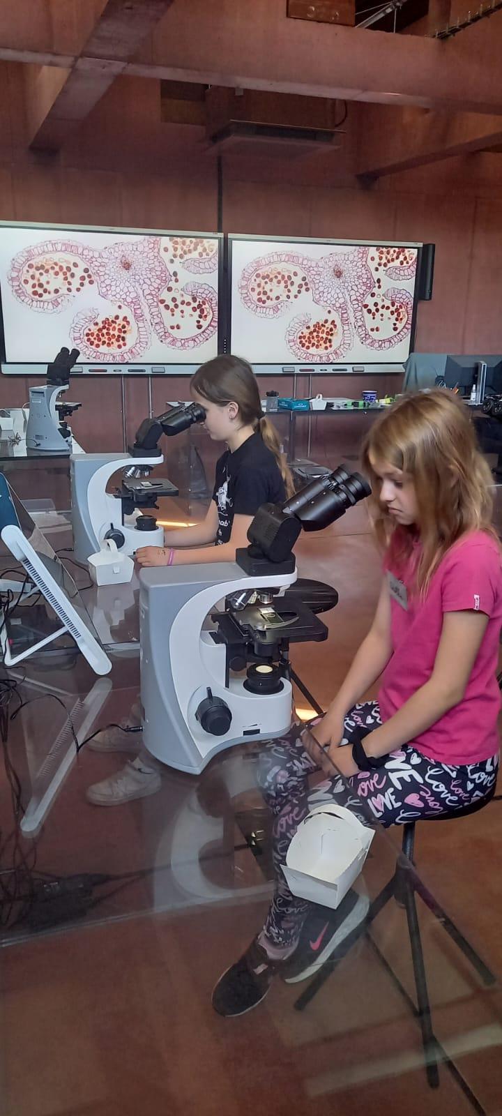 Sféra Pardubice - 2. a 4. třída - 15