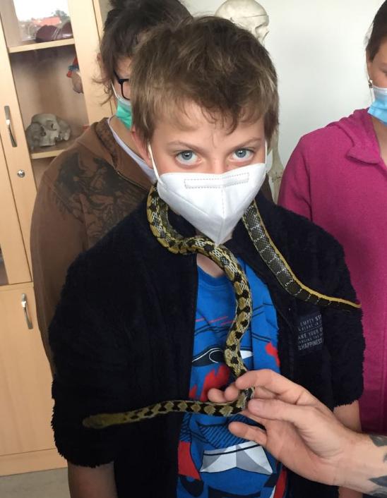 Přednáška o exotických zvířatech - 19