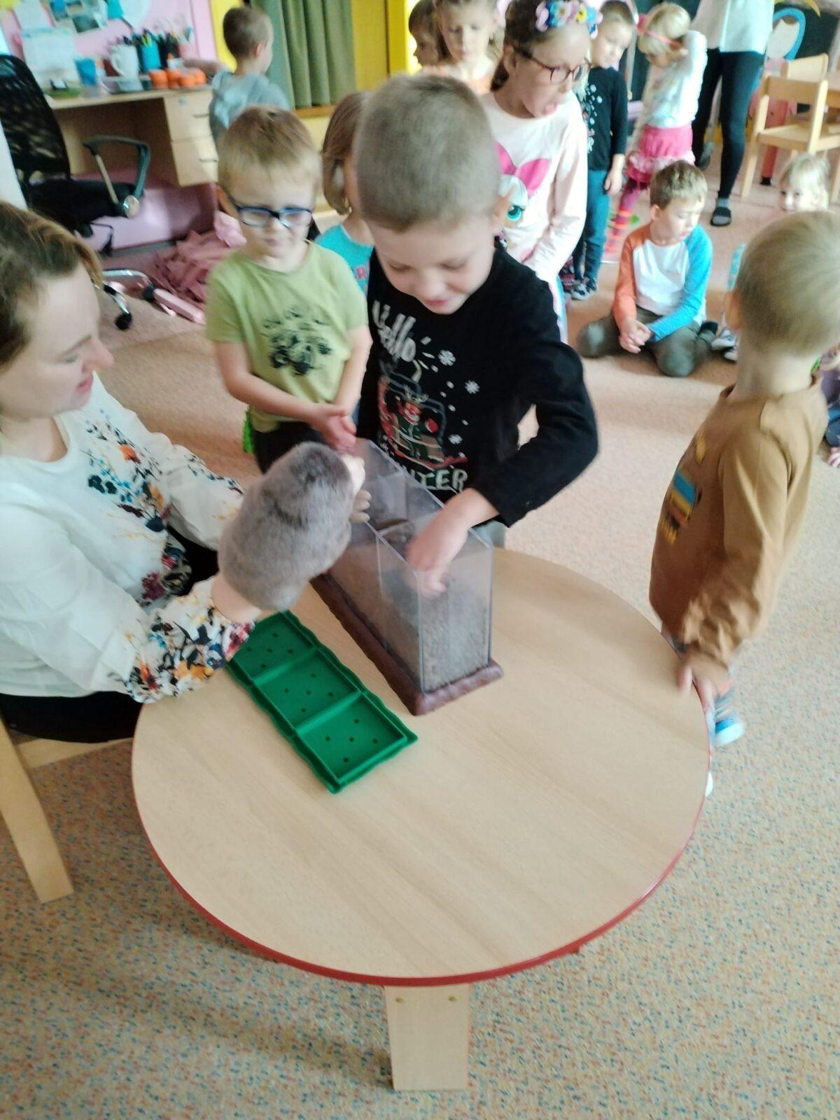 Vzdělávací program "Krteček" :-) - 43