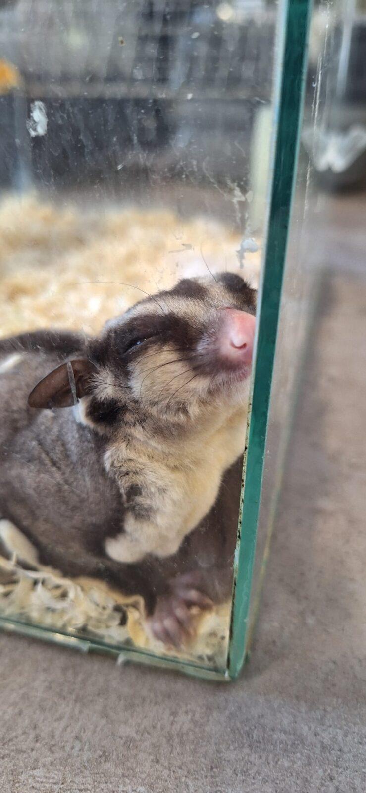 Exotická zvířata - přednáška - 24