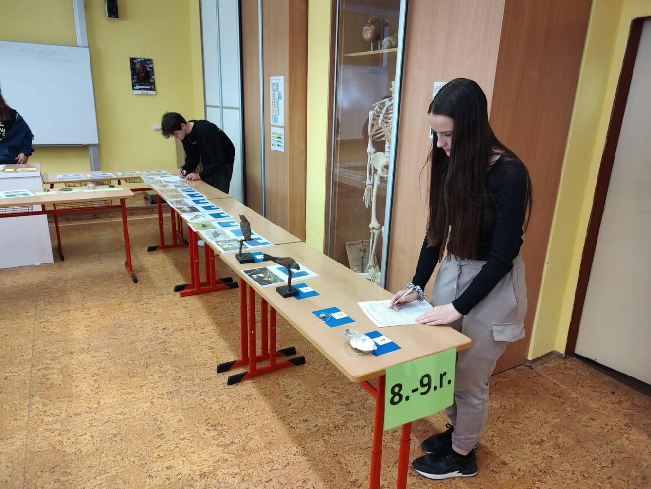 Poznávání přírodnin a minerálů II.st. - 2