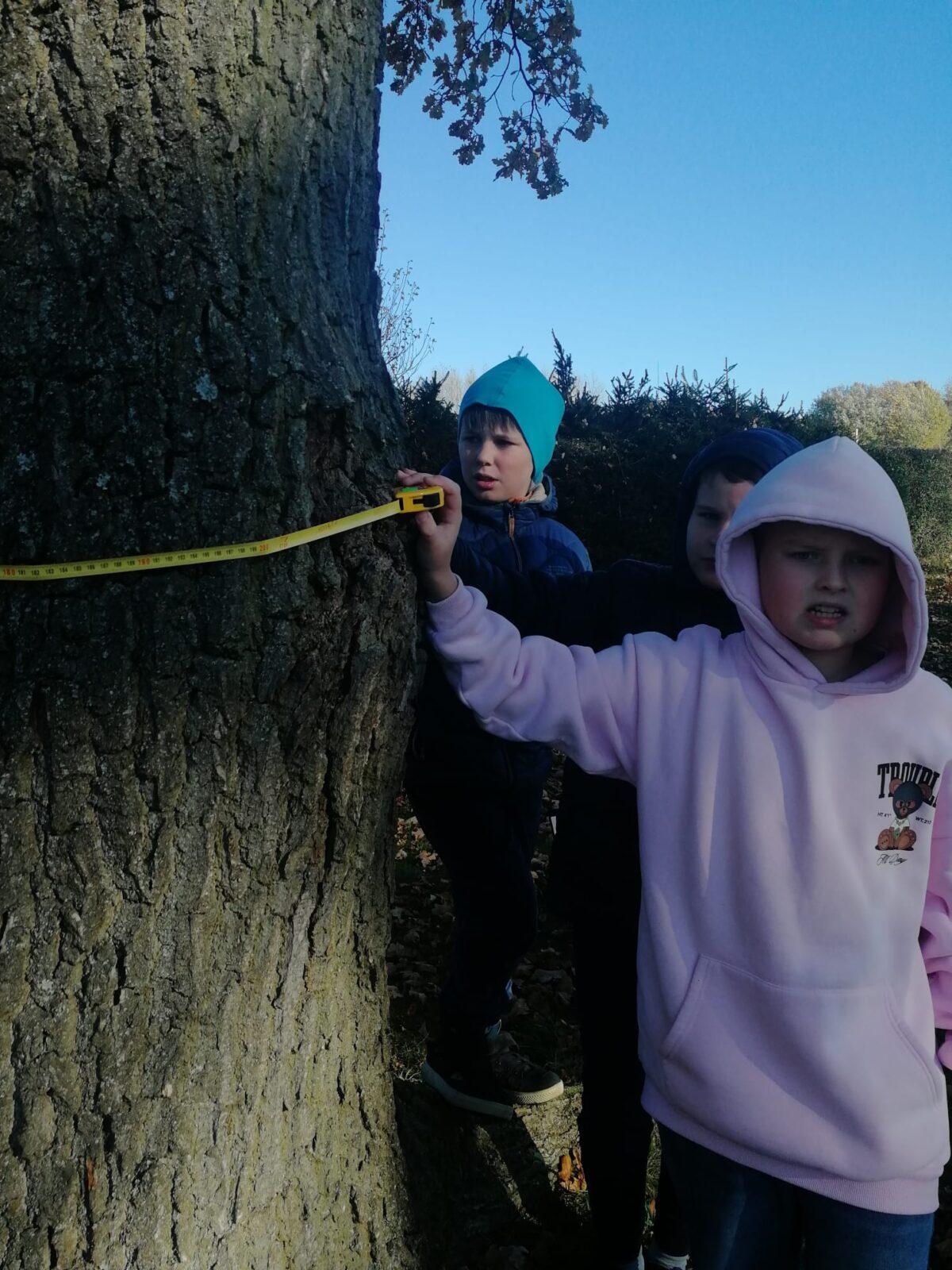 Projekt DEN STROMŮ - 9