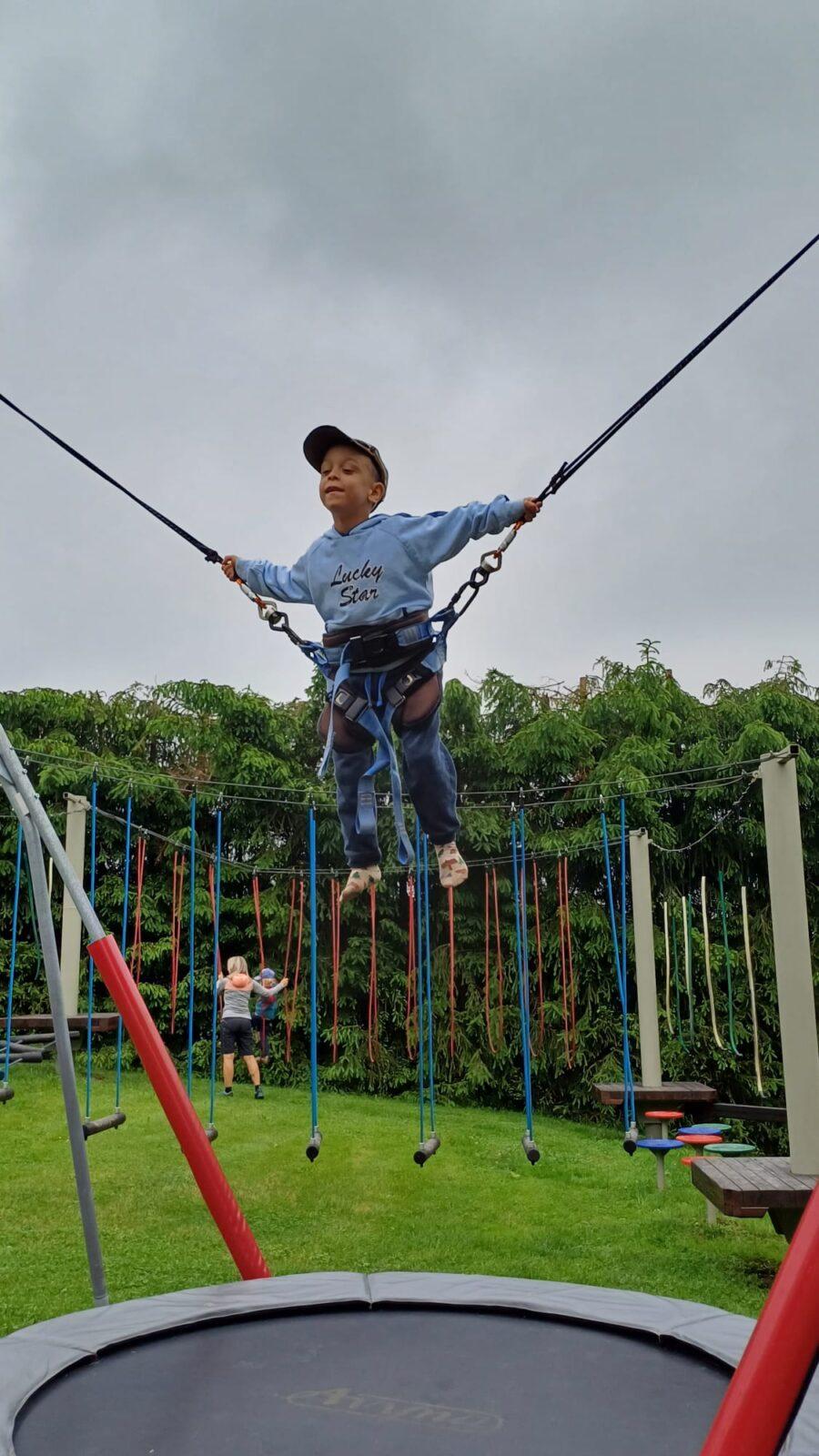 výlet - pinguin park - 34