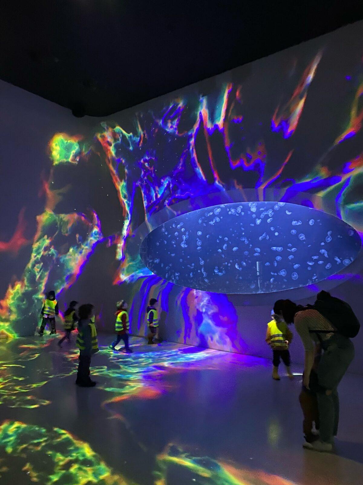 Školní výlet 8. B - 14