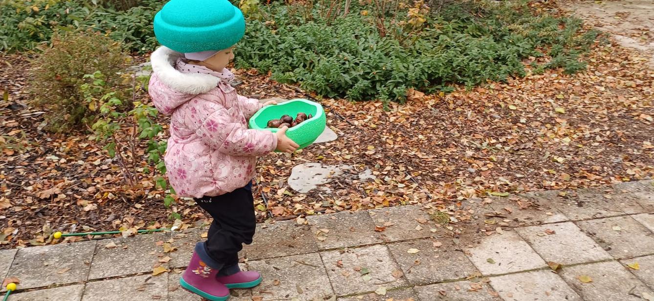 hledání podzimníčků - 20