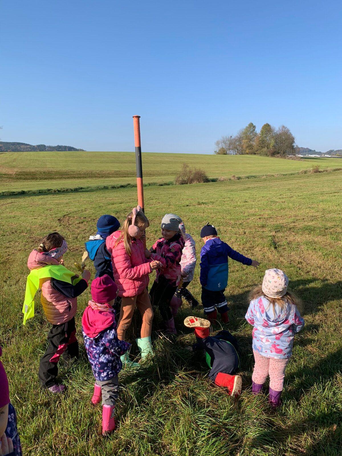 krmení zvířátek v lese - 6