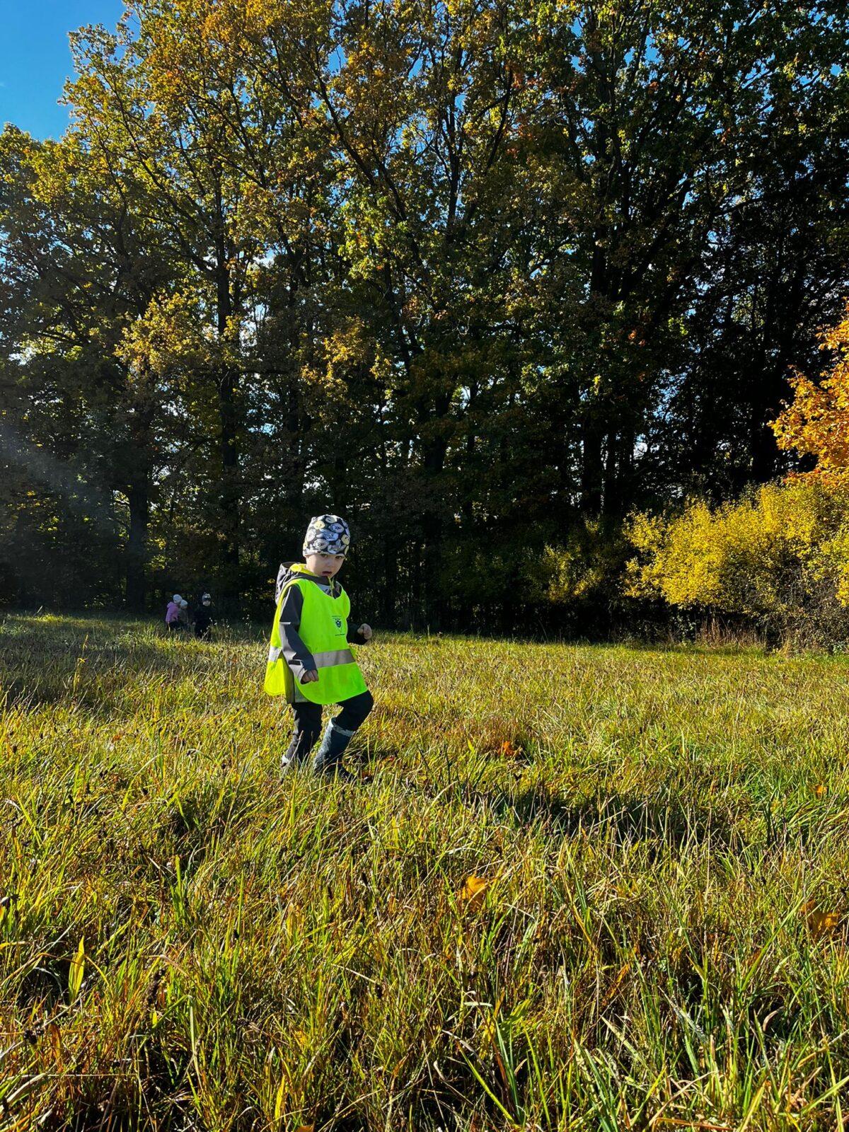procházka do kaštánky - 12