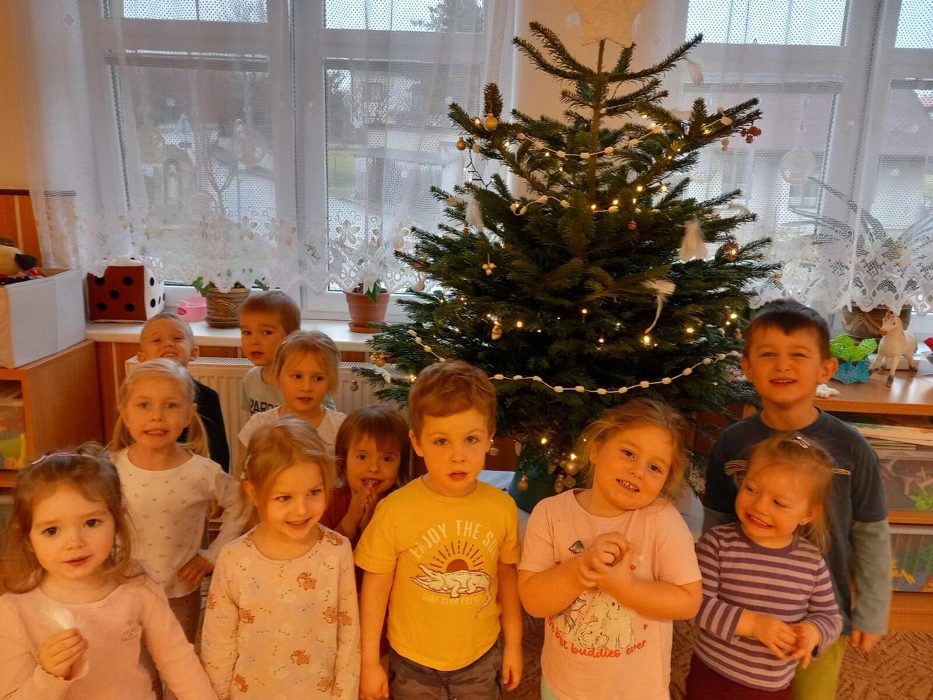 zdobení vánočního stromečku - 13