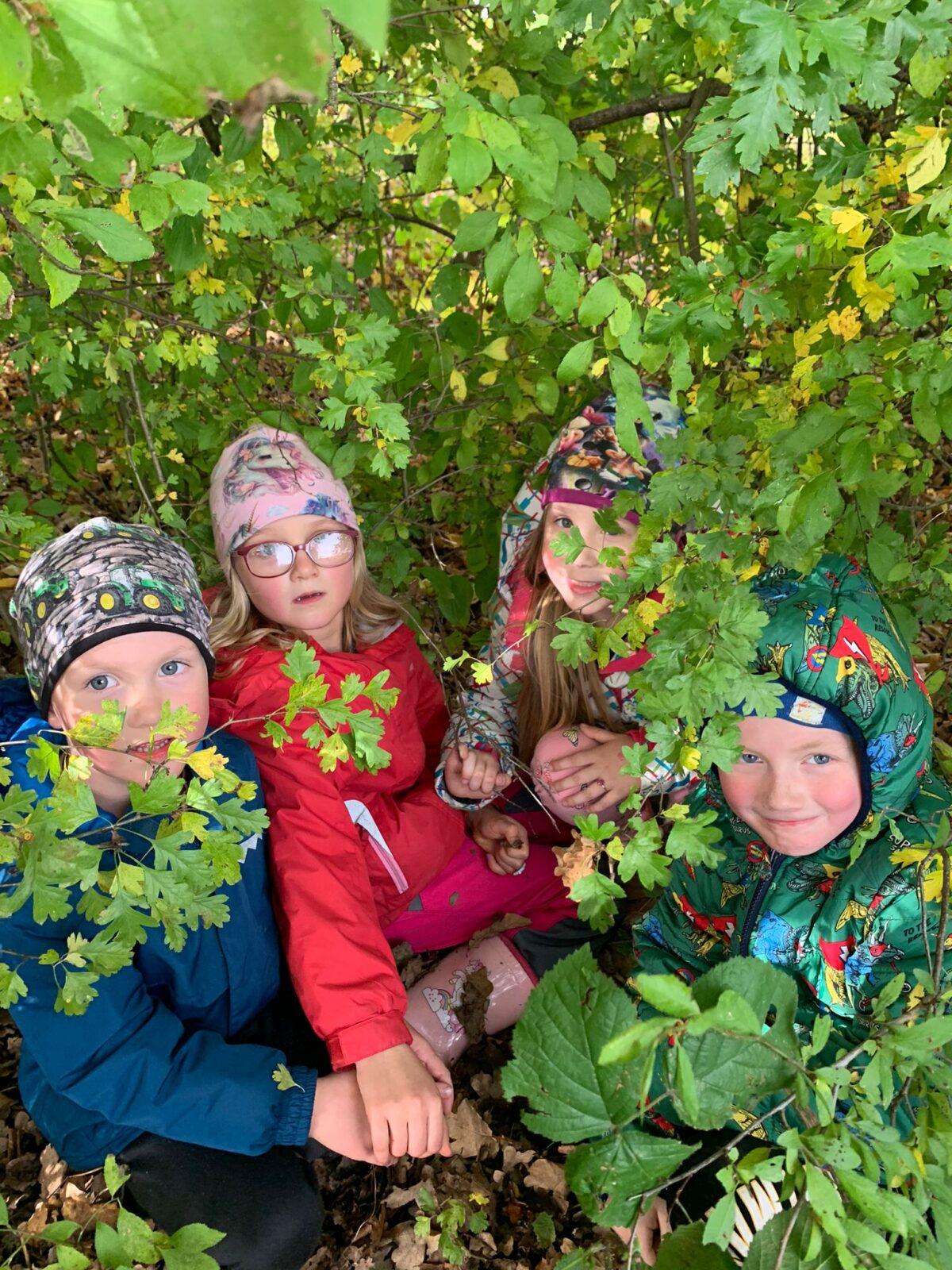 Procházka podzimní přírodou - 9