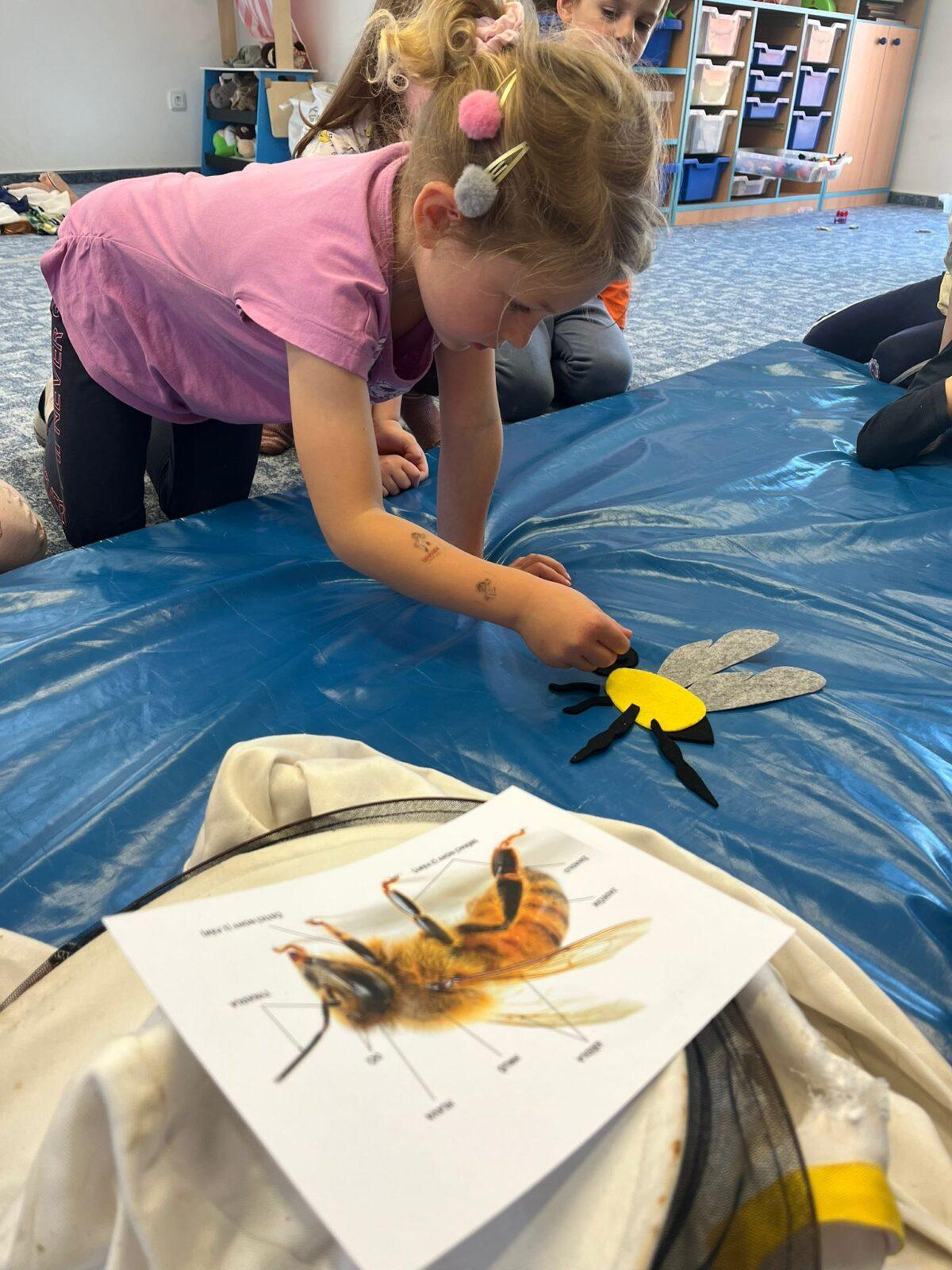 včelky u námořníků - 12