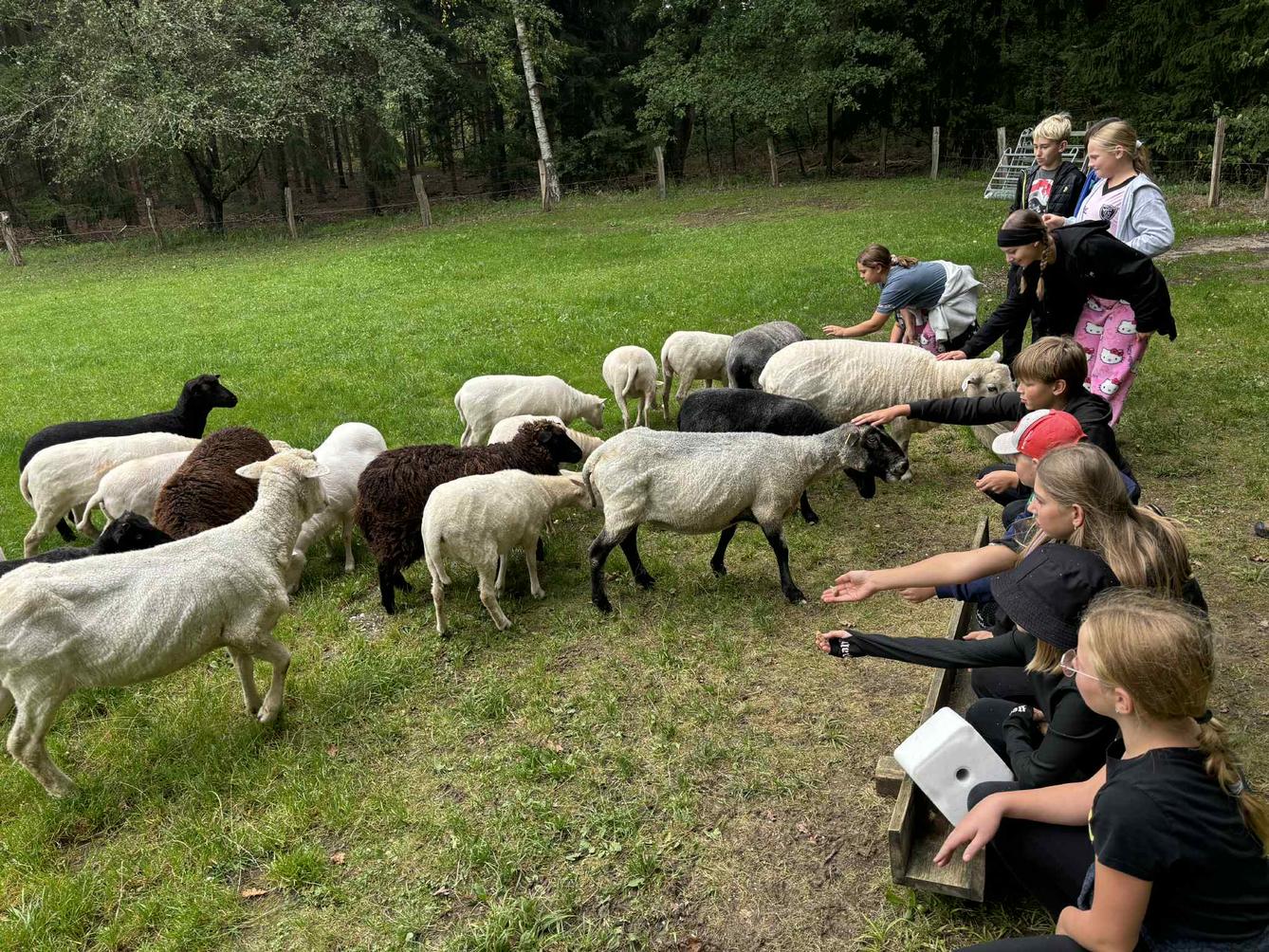 Adaptační kurz- den druhý - 18