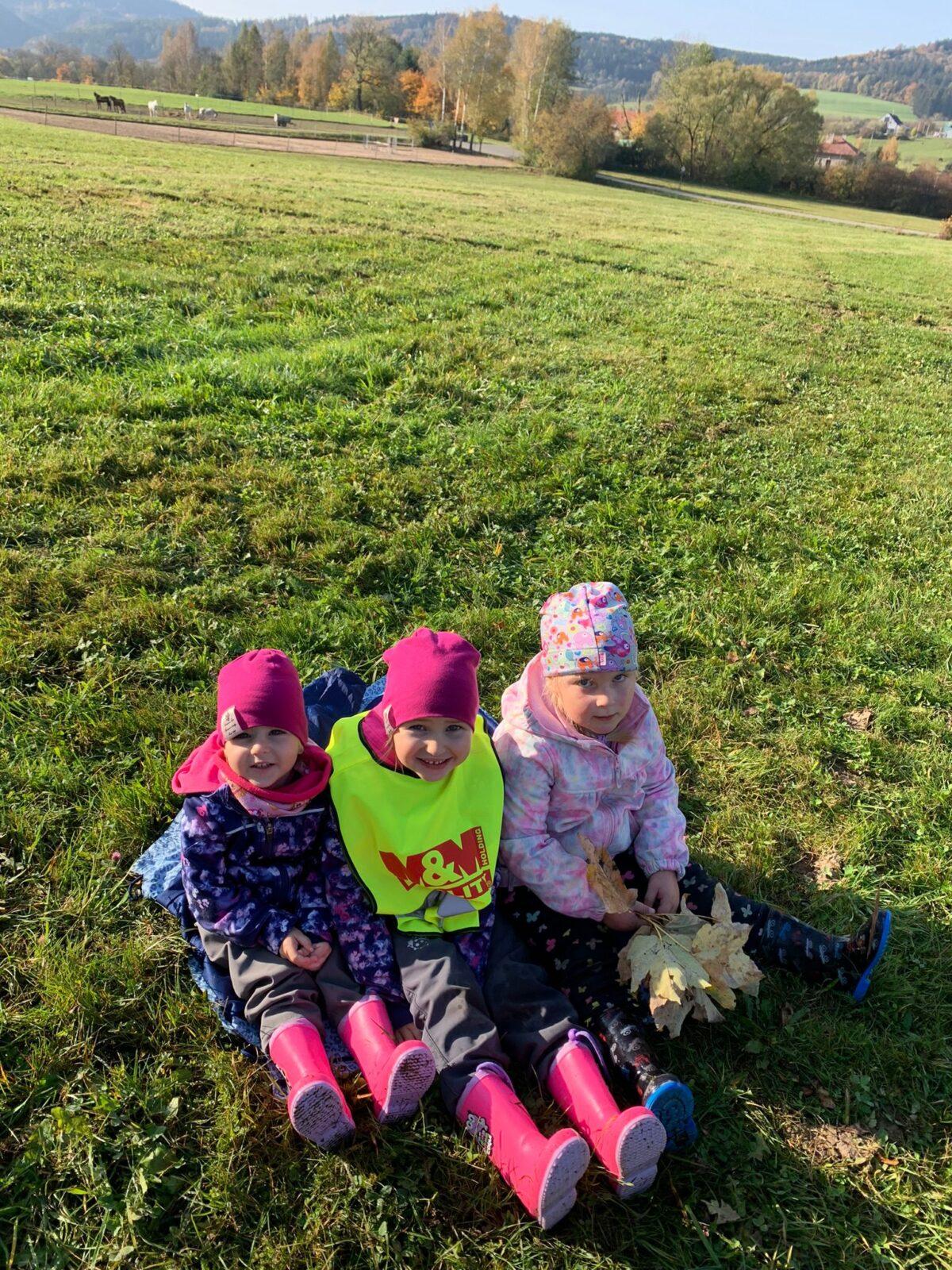 krmení zvířátek v lese - 8