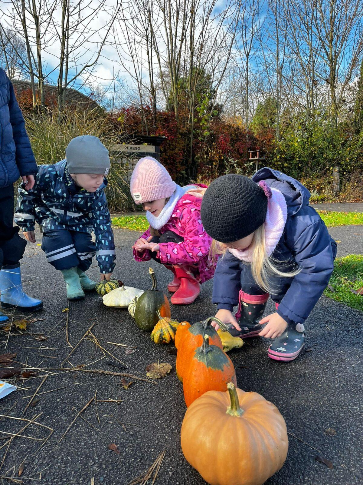 podzimní hry na zahradě - 32