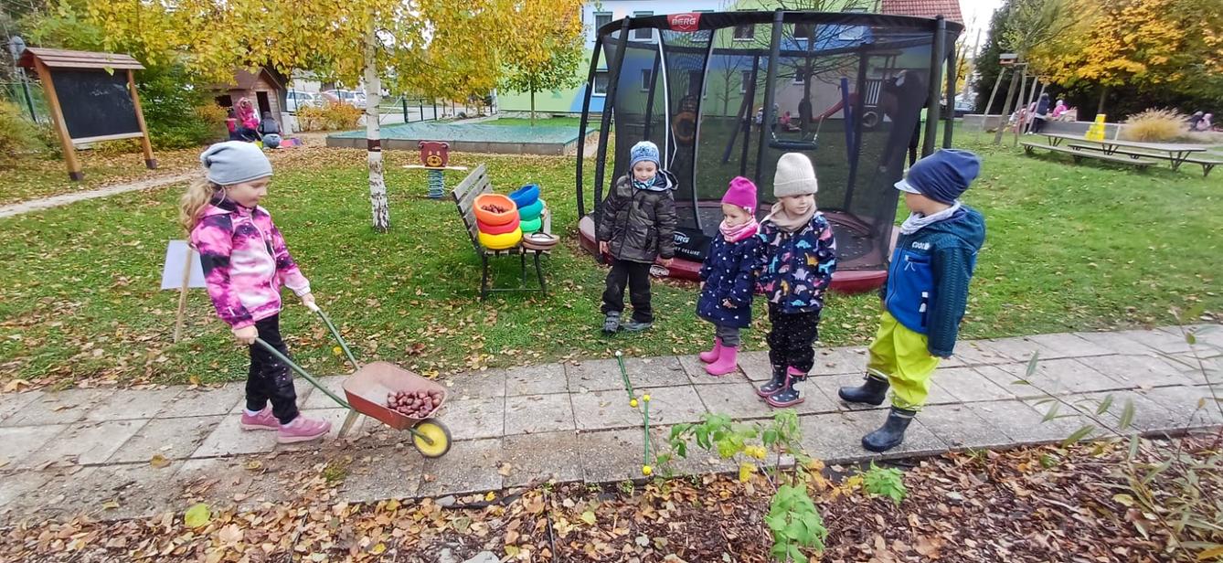 hledání podzimníčků - 24