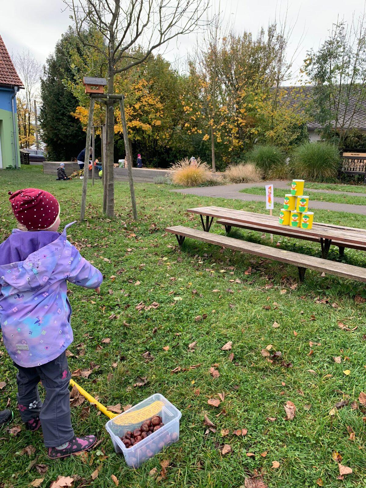 hledání podzimníčků - 26