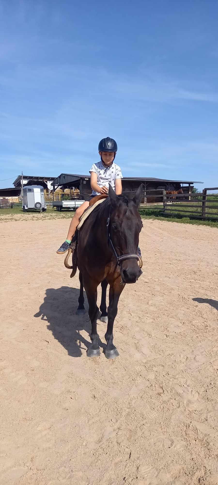 TÝDEN PLNÝ ZÁBAVY - 5. DEN - PÁTEK 23.8. 2024 - 83