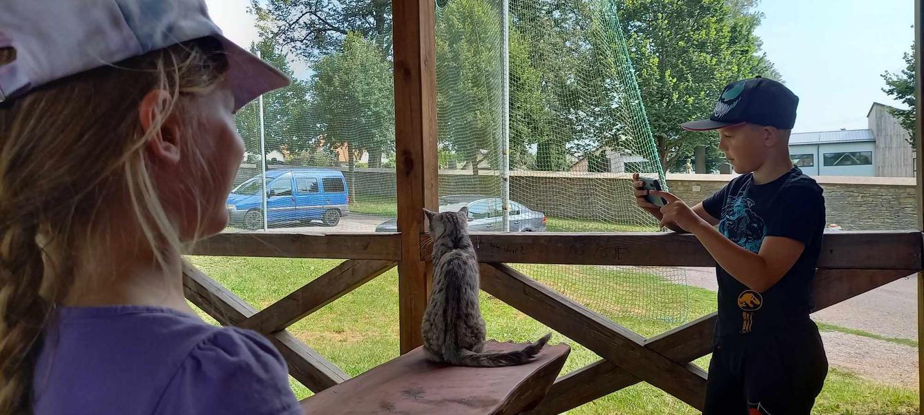 TÝDEN PLNÝ ZÁBAVY - 2.den - úterý 20.8. 2024 - 22