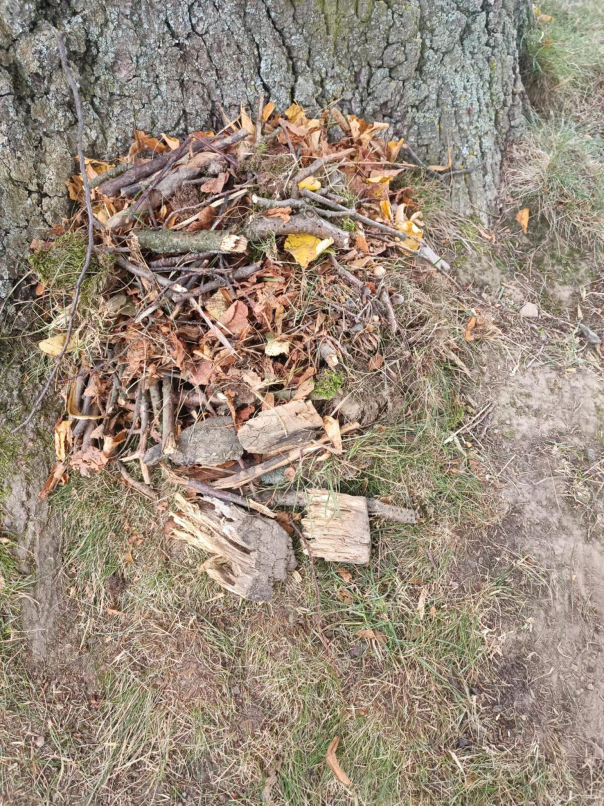 ŠKOLNÍ DRUŽINA - 2. ODDĚLENÍ -PODZIM - 94