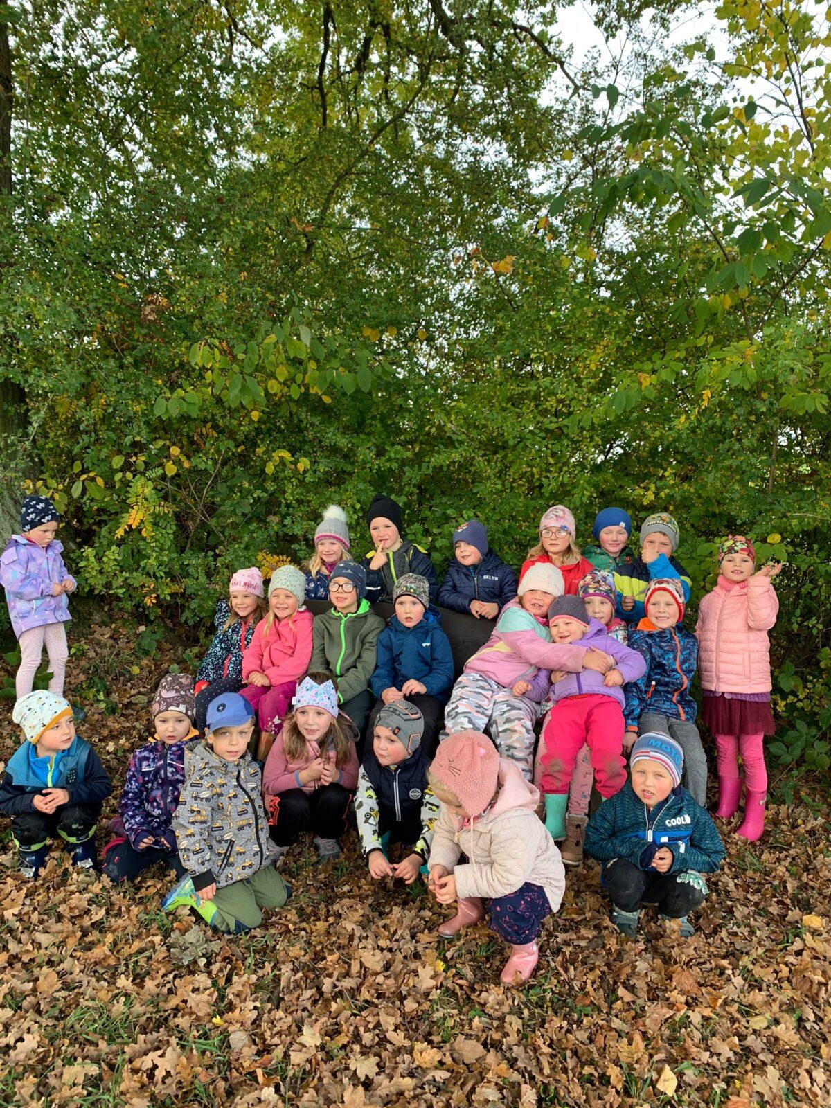 Procházka podzimní přírodou - 10