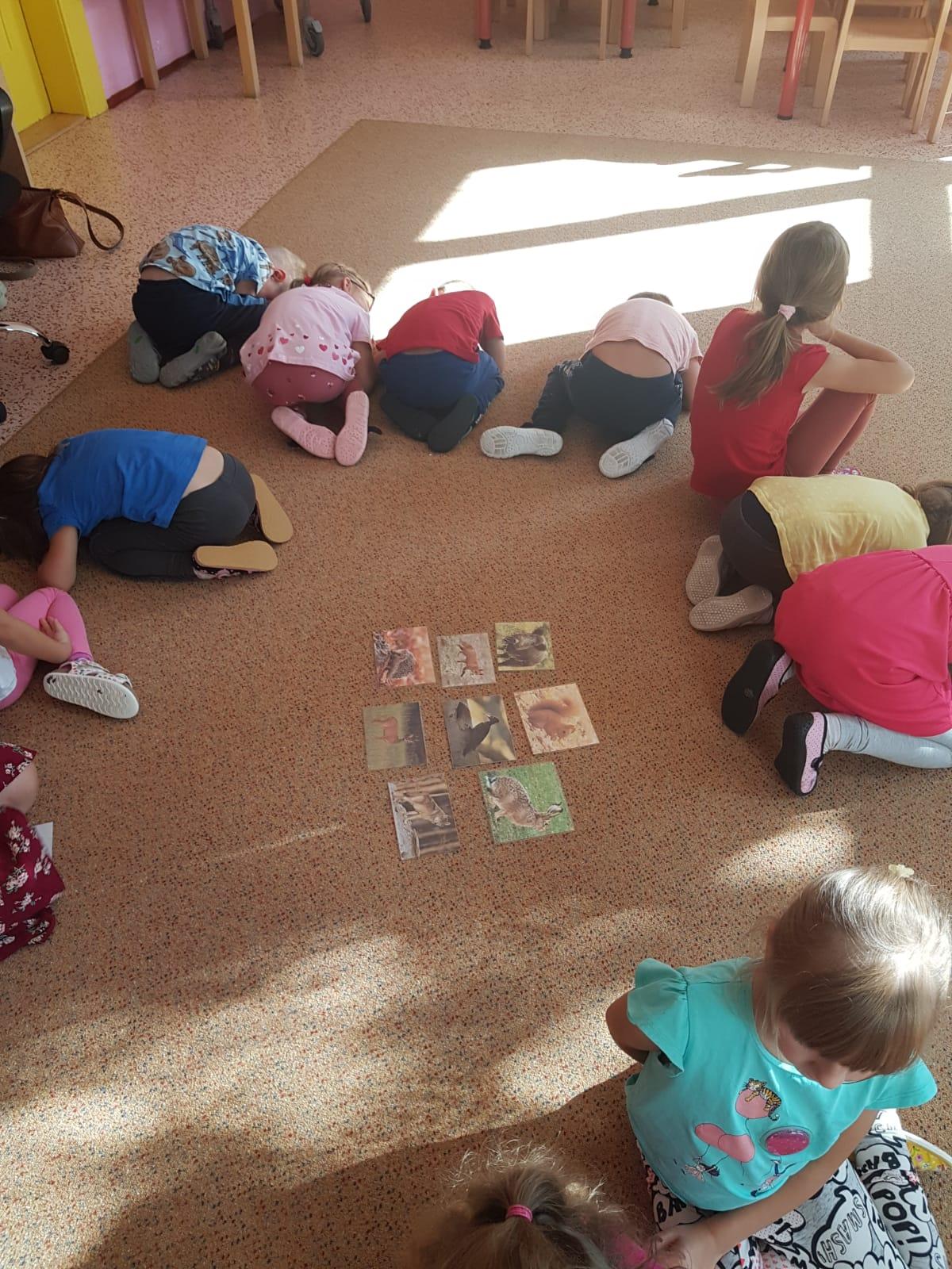 SOVIČKY: ,,LES" - 19