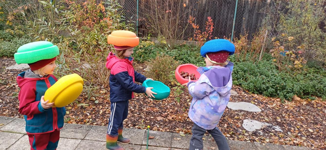 hledání podzimníčků - 31