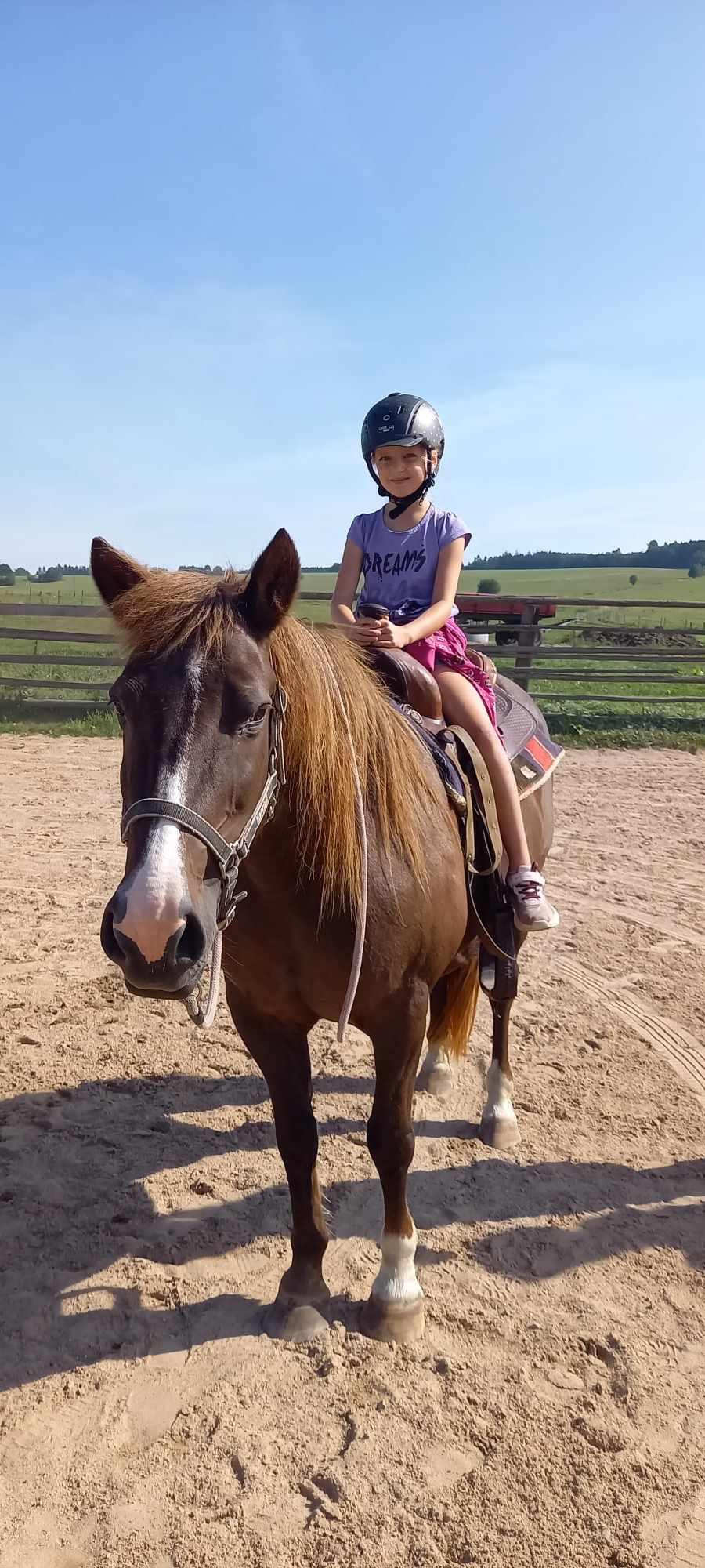 TÝDEN PLNÝ ZÁBAVY - 5. DEN - PÁTEK 23.8. 2024 - 99