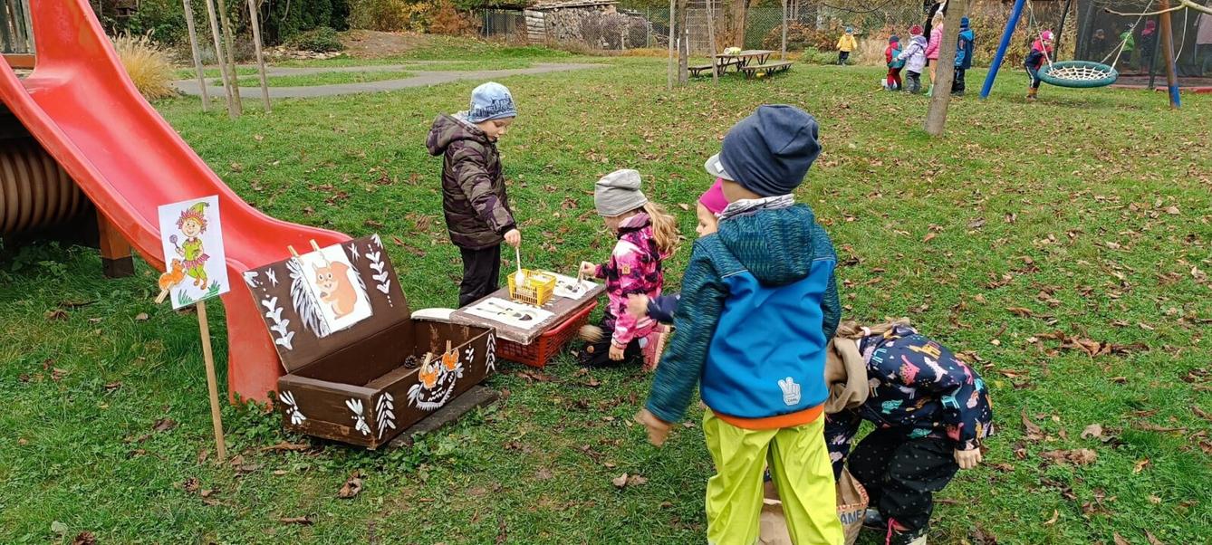 hledání podzimníčků - 33