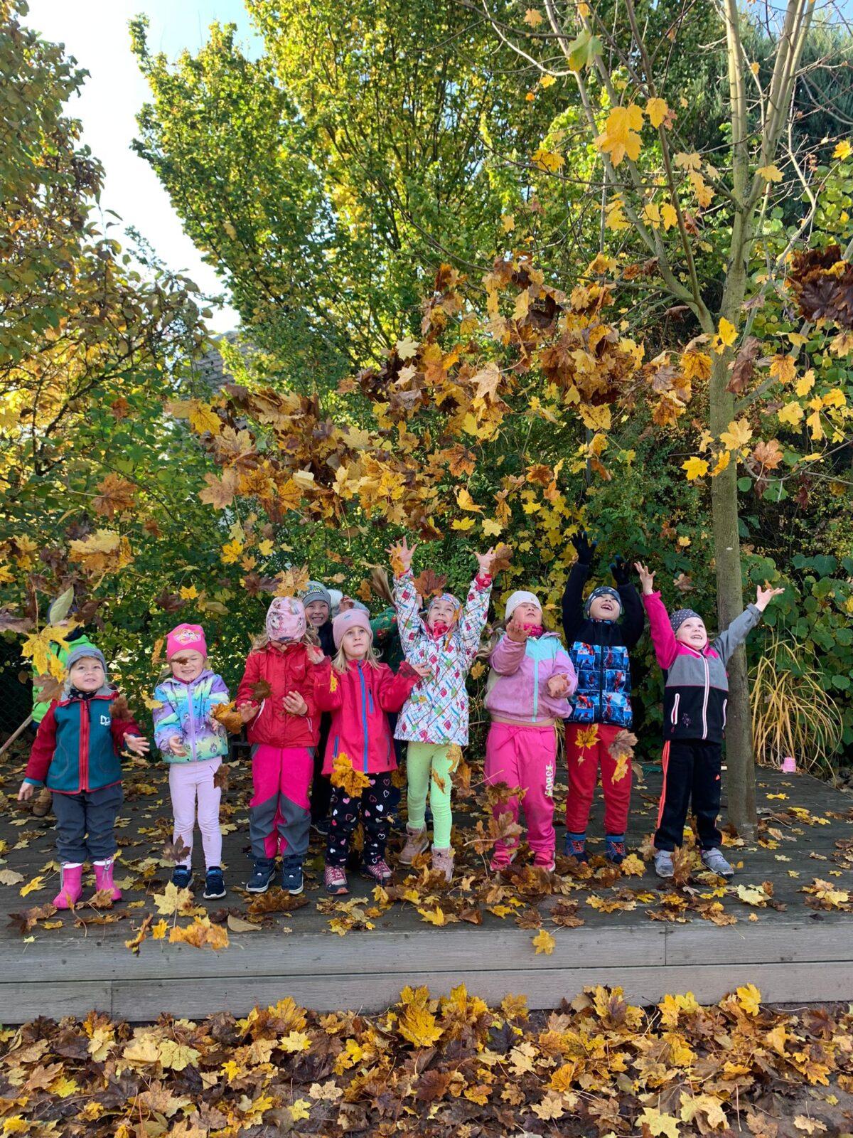 Procházka podzimní přírodou - 12