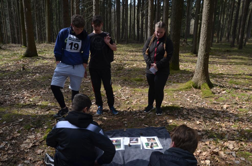 Den Země a Fáboráček - II. st. - 25