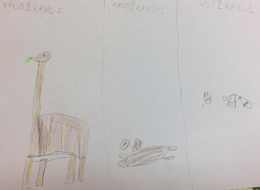 Příroda u třeťáčků 30. 5. - 43