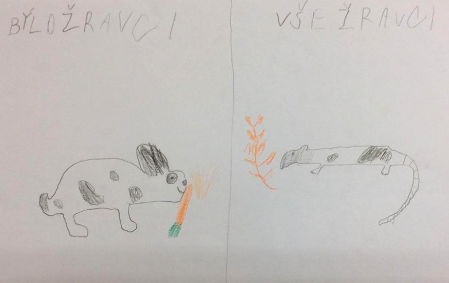 Příroda u třeťáčků 30. 5. - 44