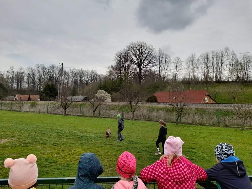 ŠD - návštěva hospodářství u Novotných - 8