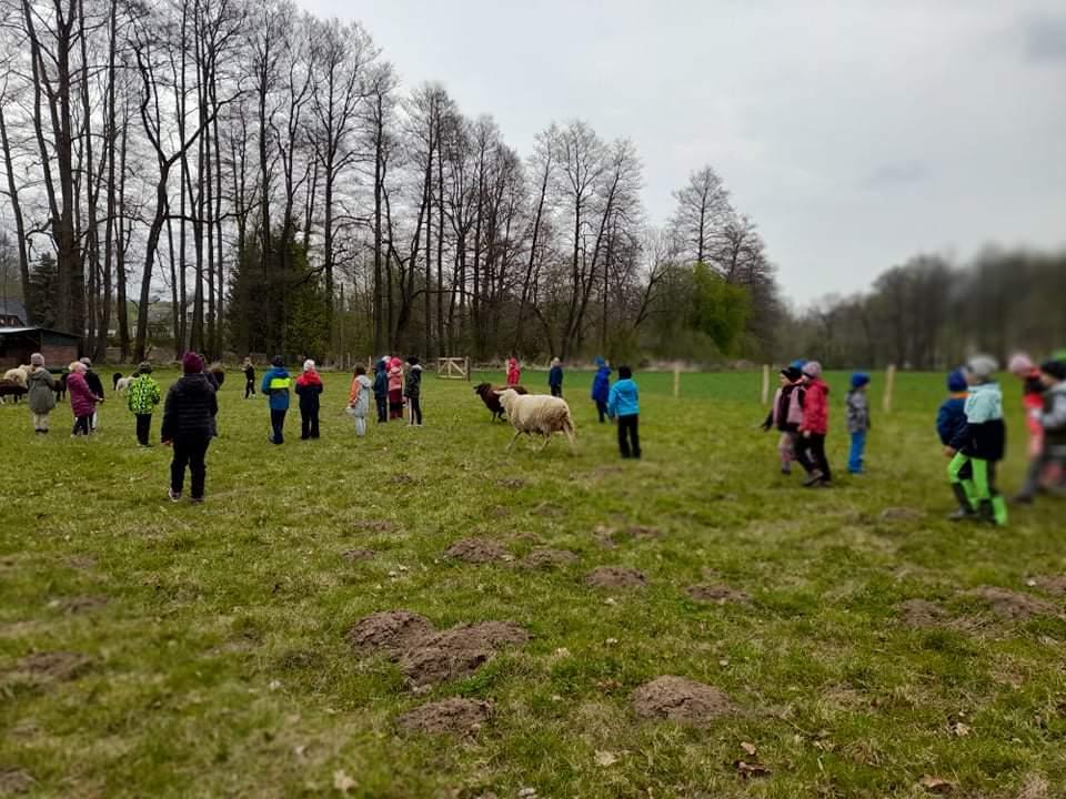 ŠD - návštěva hospodářství u Novotných - 31