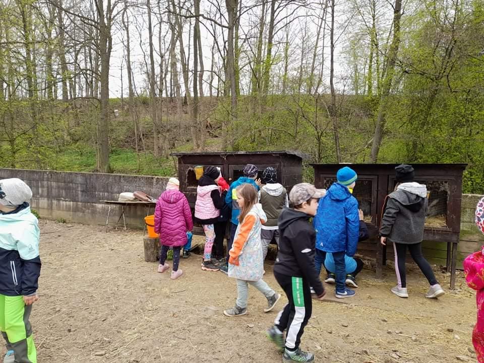 ŠD - návštěva hospodářství u Novotných - 36