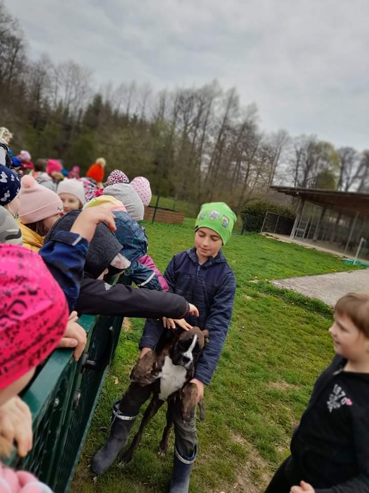 ŠD - návštěva hospodářství u Novotných - 39