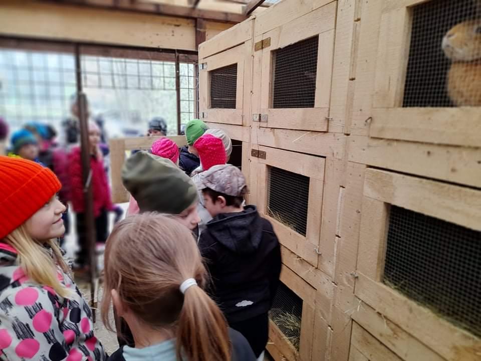 ŠD - návštěva hospodářství u Novotných - 48