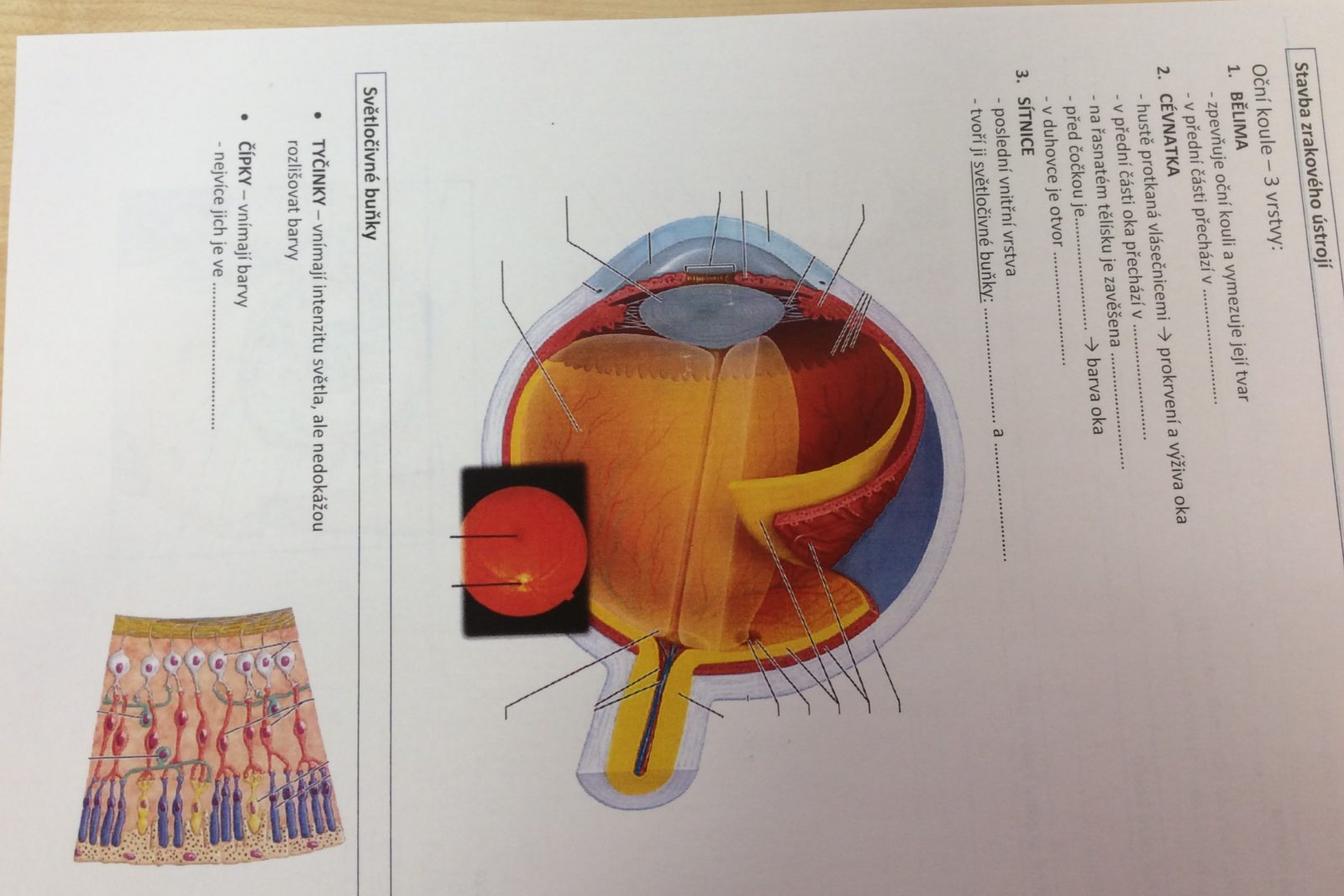 Projektový den na Gymnáziu v ÚO