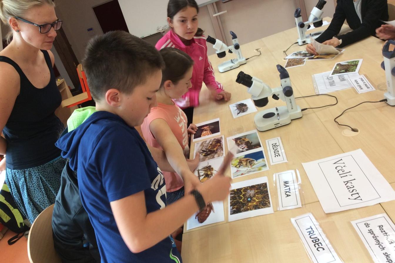 Svět včel - žáci 6. třídy