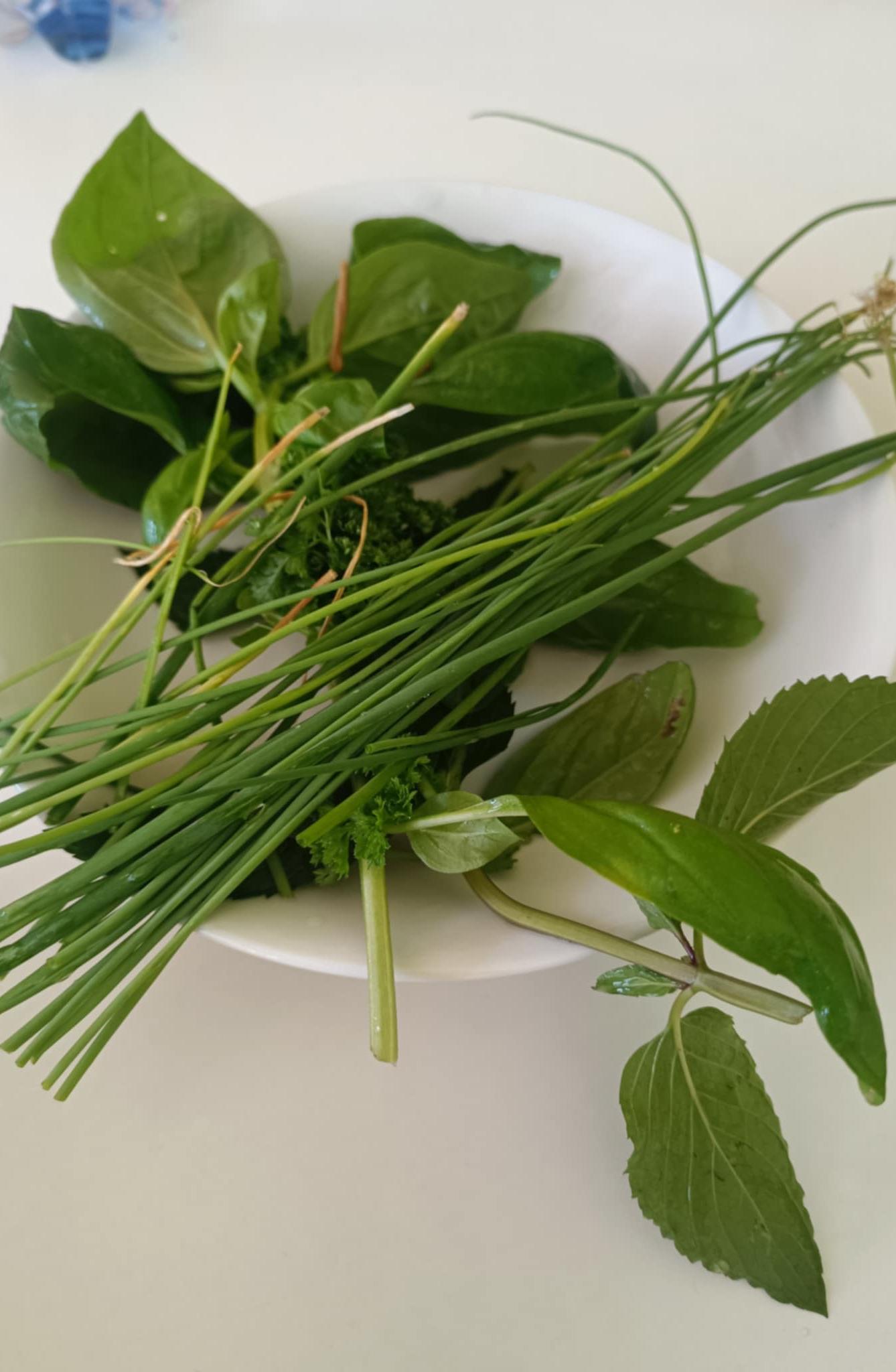 Týden plný zábavy II - úterý - 2