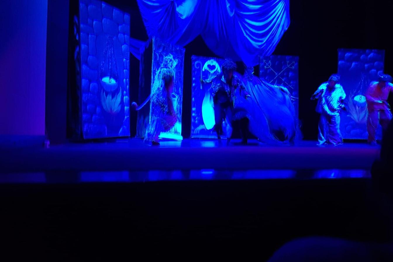 NÁVŠTĚVA DIVADLA: ,,ČERTŮV ŠVAGR"